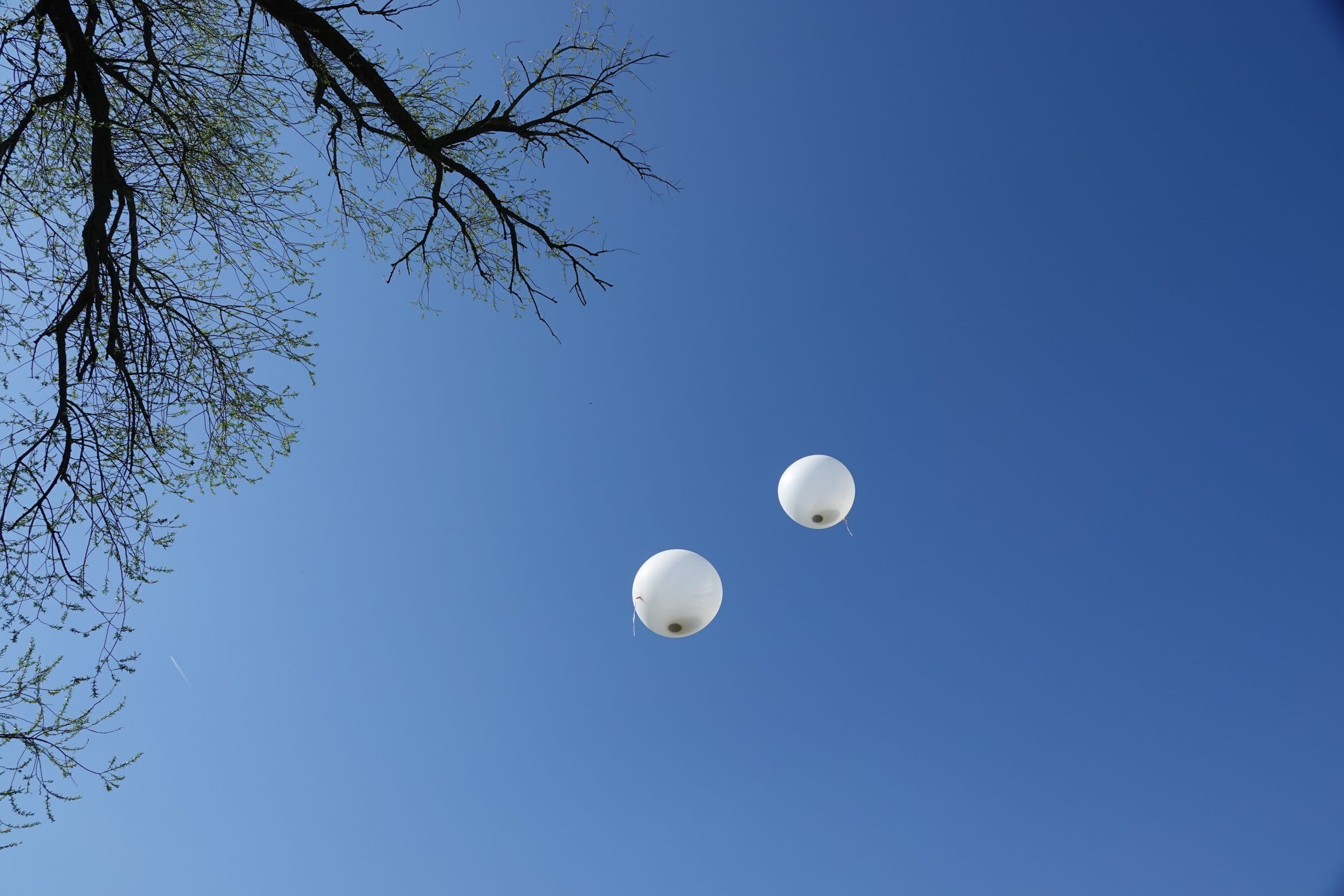 Himmelsbestattung - Bestattungen Menge